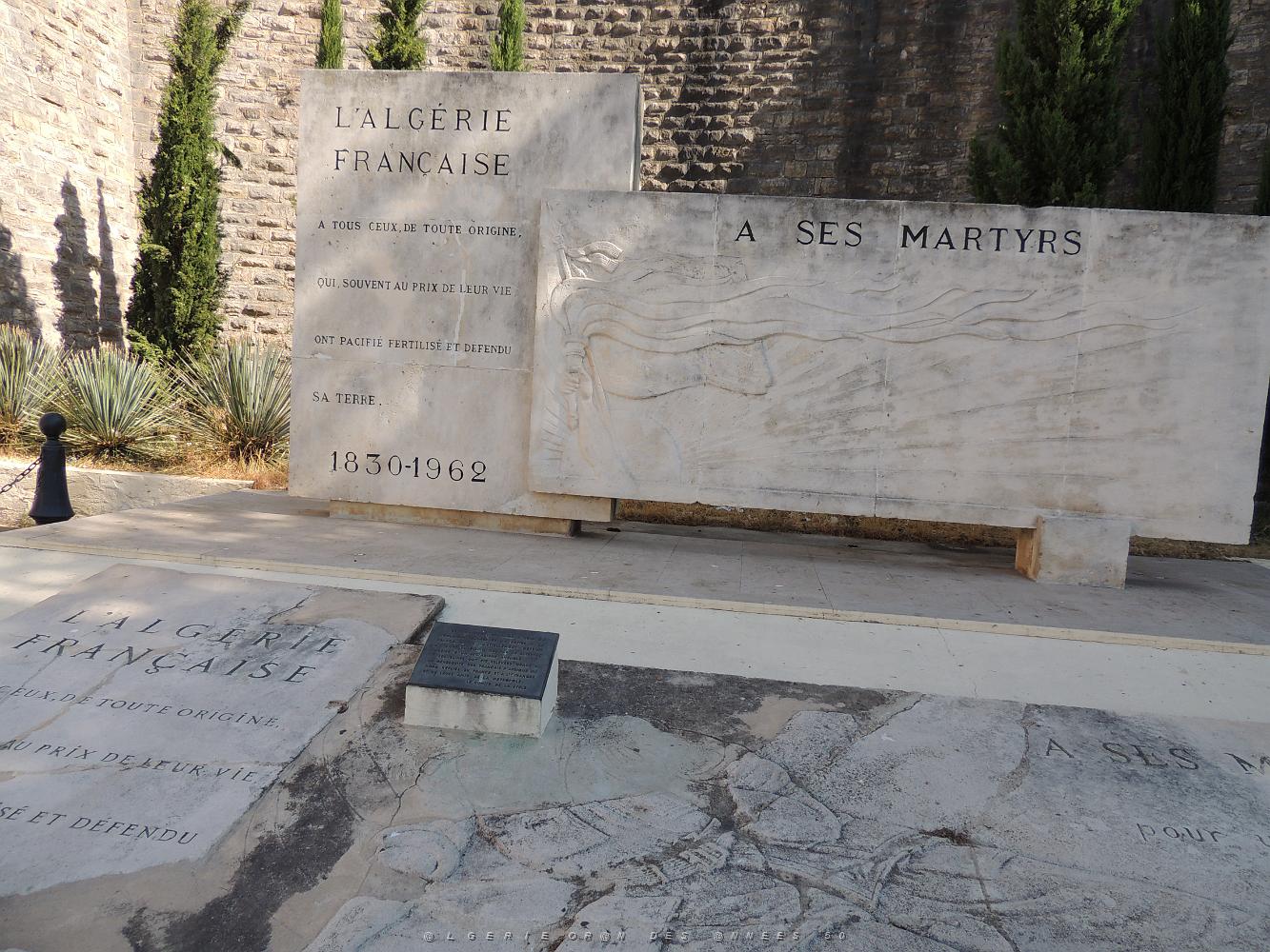 2019 07 05 TOULON HOMMAGE A NOS DISPARUS ET MORTS DU 5 07 1962 A ORAN (12).JPG -           